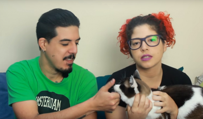 screen-shot-2017-02-15-at-13.23.03 Brisa e Adam explicam como levar animal de estimação para a Irlanda