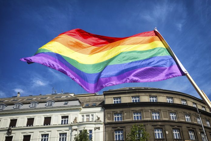 LGBTQIA+ LGBTQIA+