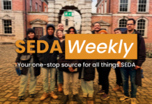 SEDA Weekly #2 – November Recap