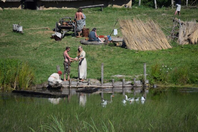 Vikings Vikings