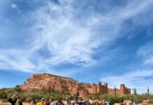 Estudiantes de SEDA College exploran Marruecos: cultura, idioma y la magia del Sahara