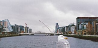Trabalho voluntário na Irlanda: como encontrar oportunidades durante o intercâmbio