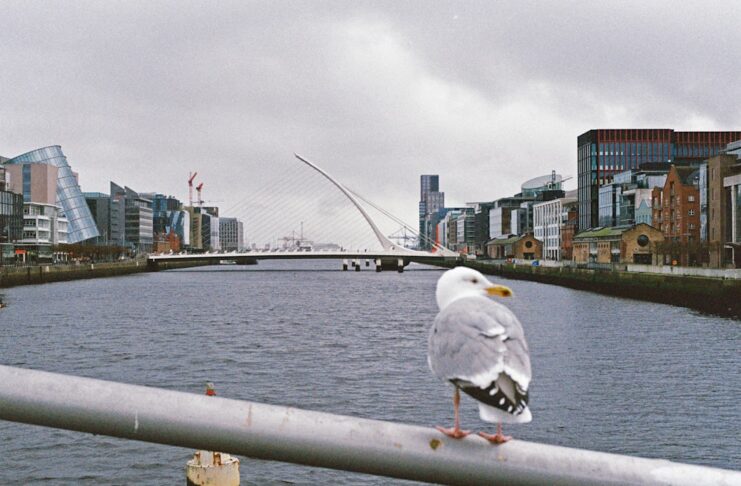 Trabalho voluntário na Irlanda: como encontrar oportunidades durante o intercâmbio