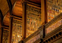 Vocabulário do dia a dia que nenhum professor te ensina e você só aprende morando na Irlanda