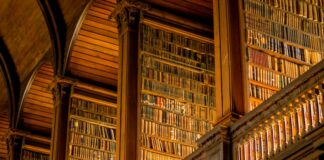 Vocabulário do dia a dia que nenhum professor te ensina e você só aprende morando na Irlanda